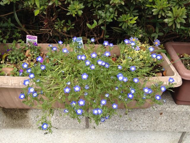 IMG_6958 (640x480).jpg