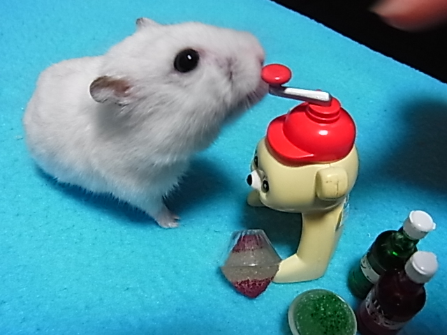 2014_06192040.JPG