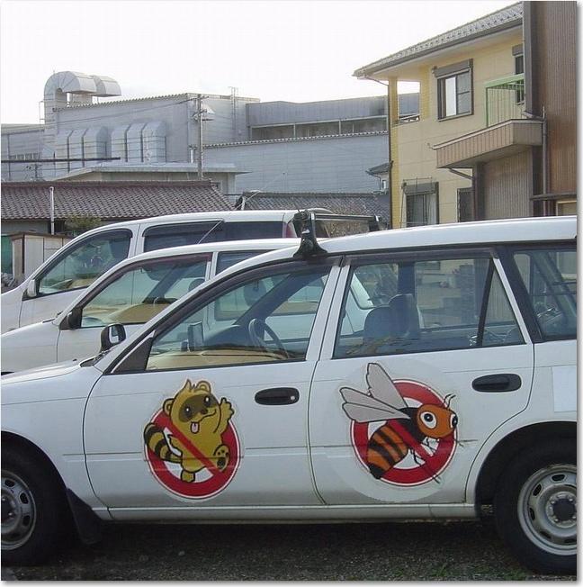 コピー ～ 16アライグマ？