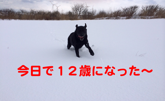 写真-3.jpg