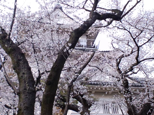 CA3C0225.JPG