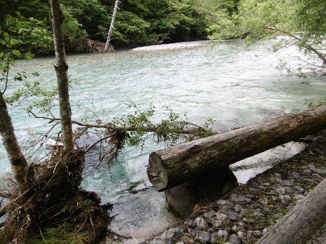 P1250142_R.JPG