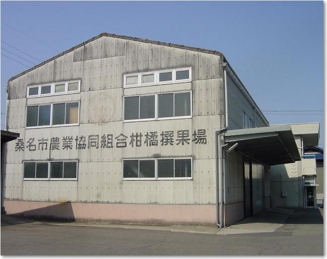 20農協柑橘撰果場