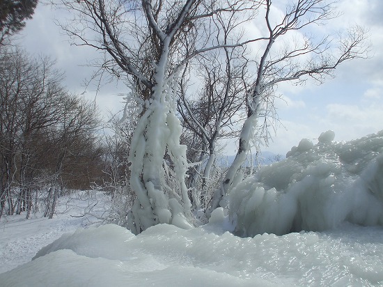 DSCF4603.jpg