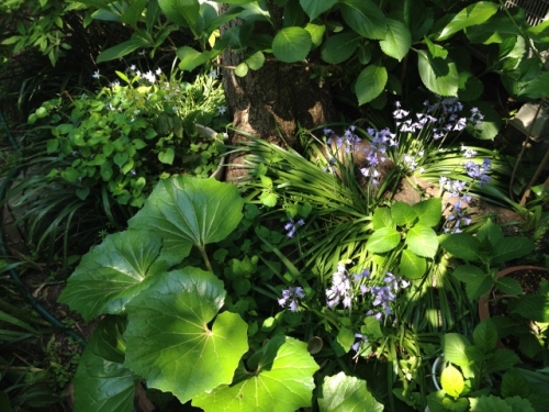 IMG_6985 (640x480).jpg