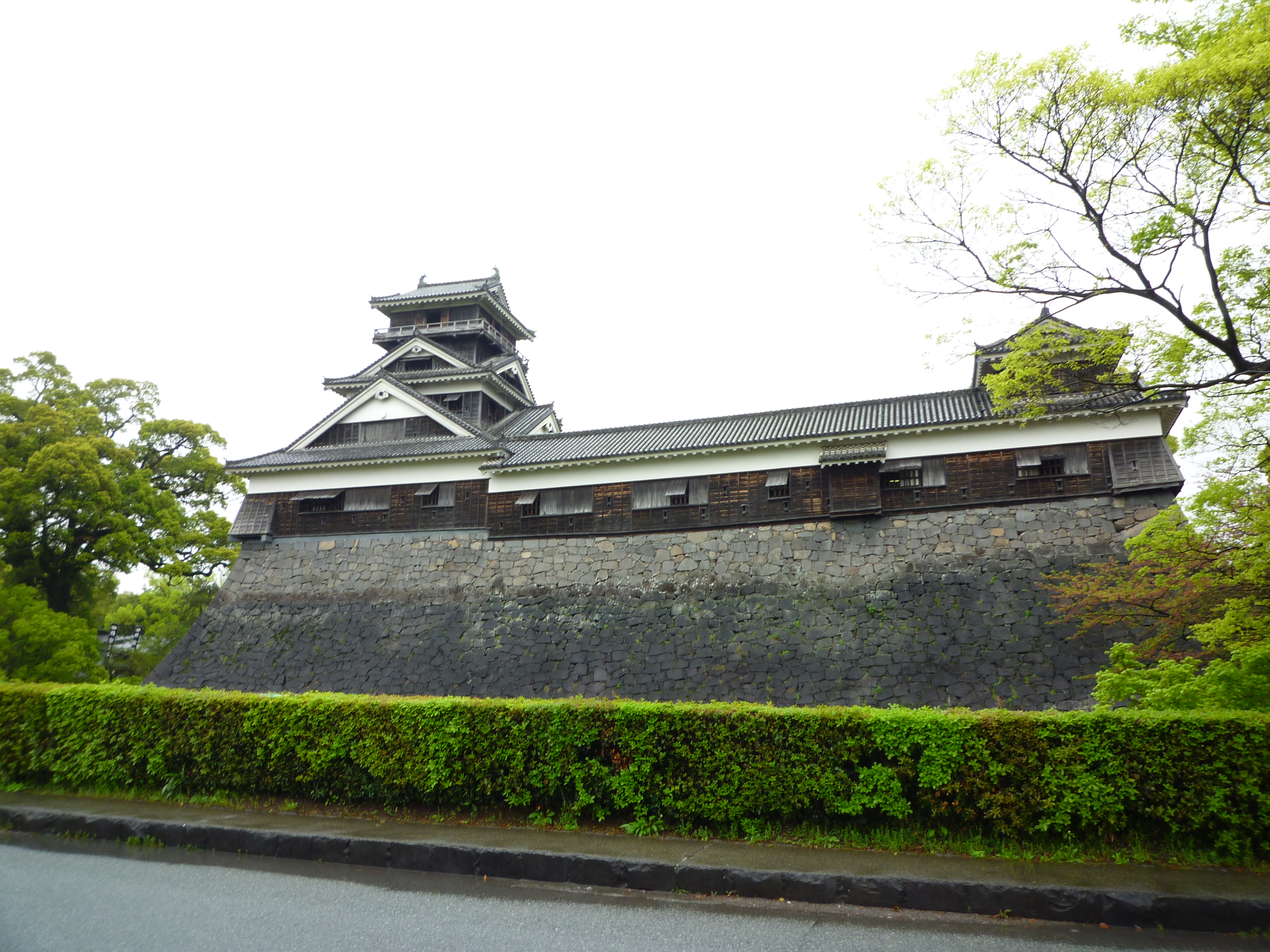 P1150767.JPG