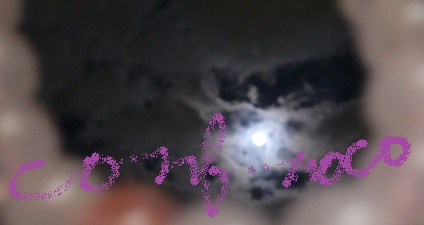 fullmoon201204.jpg