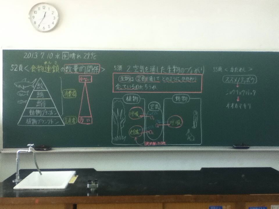 本日の板書「生物のつながり(生態系)」