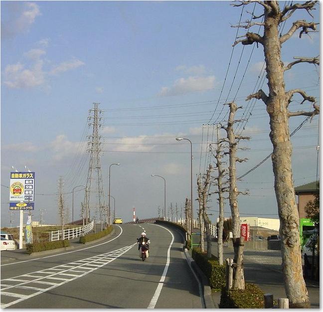 62橋のようです