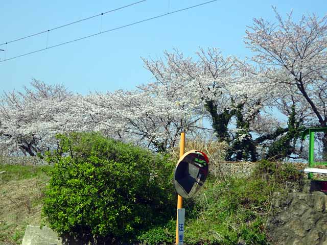 DSC08670.JPG