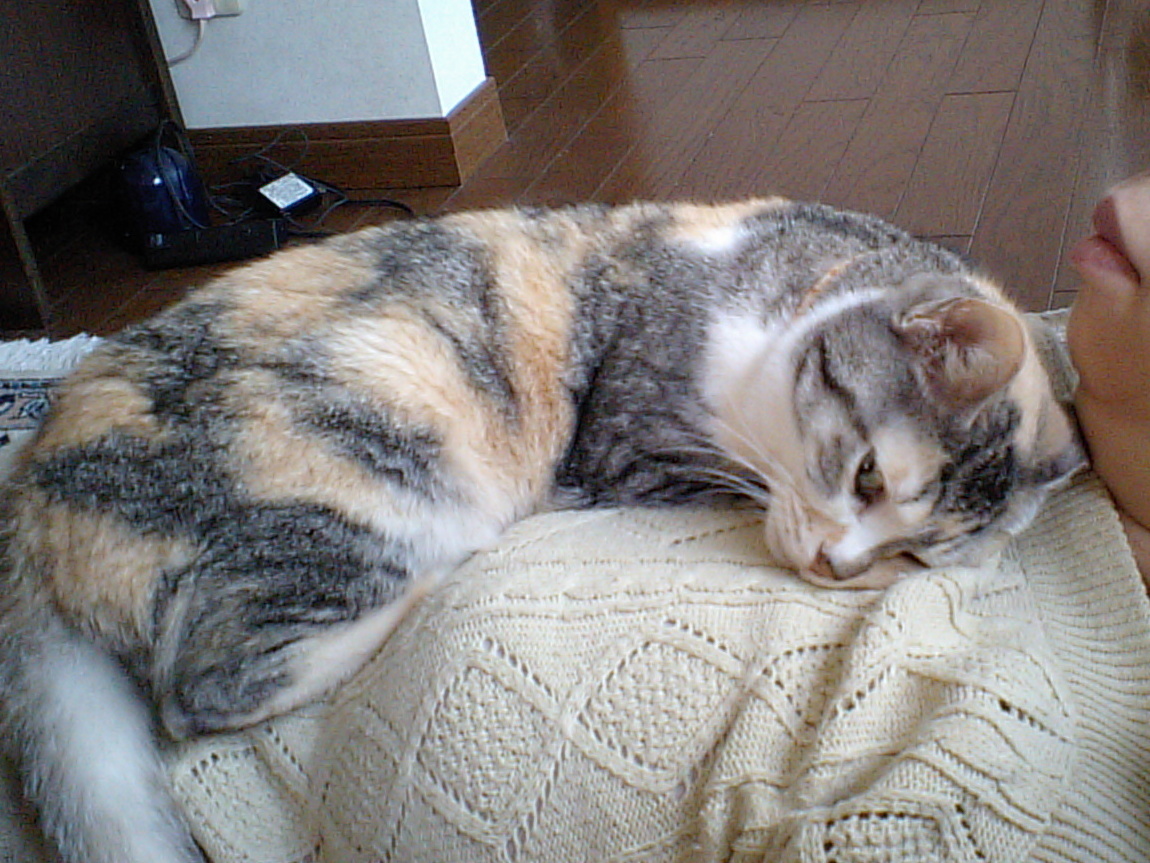 2010-1(V.2013_09_16__12_40_41).jpg