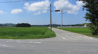 C:\fakepath\IMG_3426.JPG