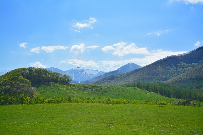 DSC_0573.jpg