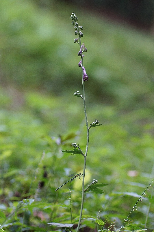0828-3.jpg