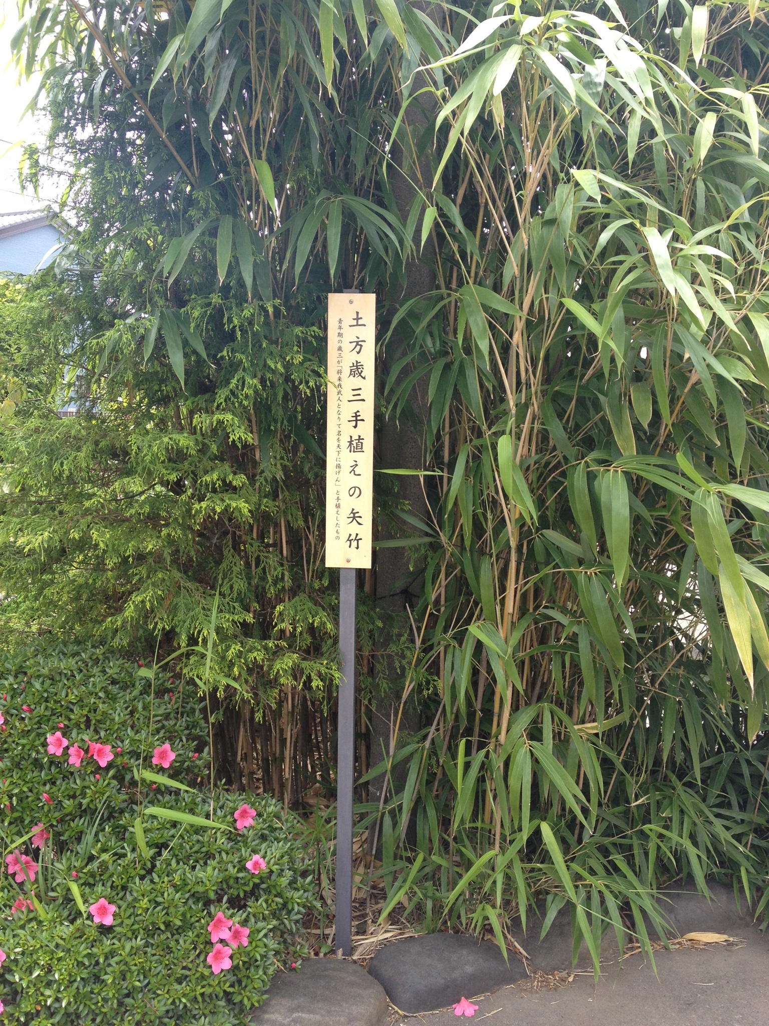 201305192109_8462_iphone.jpg