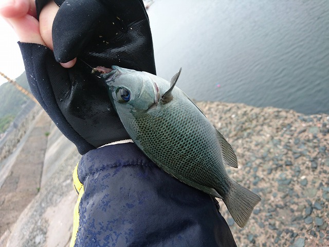 showPhoto (640×480)