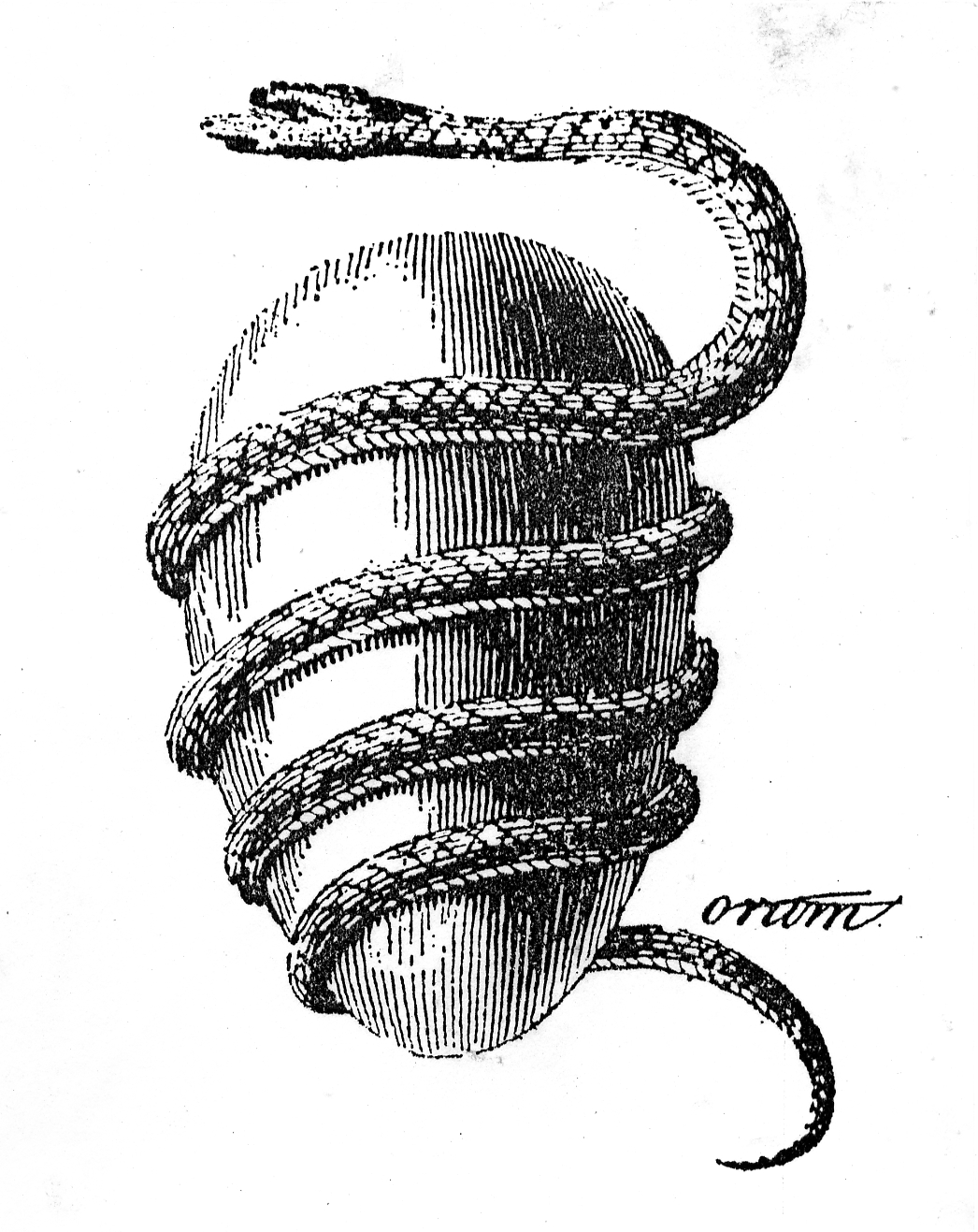 File0228.jpg