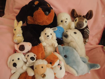DSCN5432.jpg