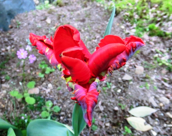 CIMG0450.JPG