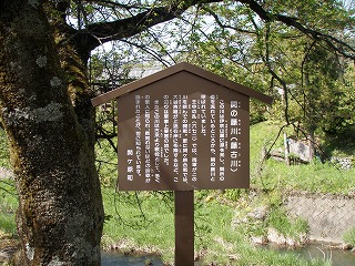 P4280013.jpg