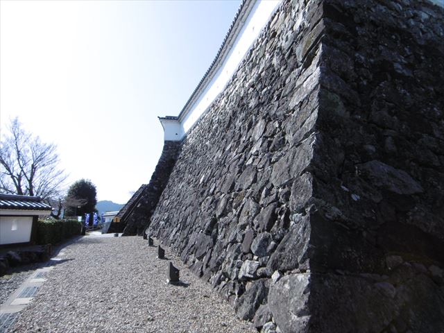 P1010368_R.JPG