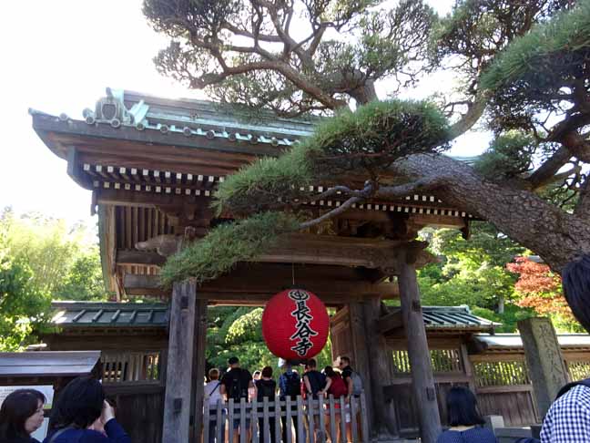 長谷寺 (3).JPG