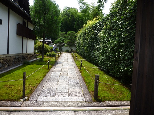 P1020463.jpg