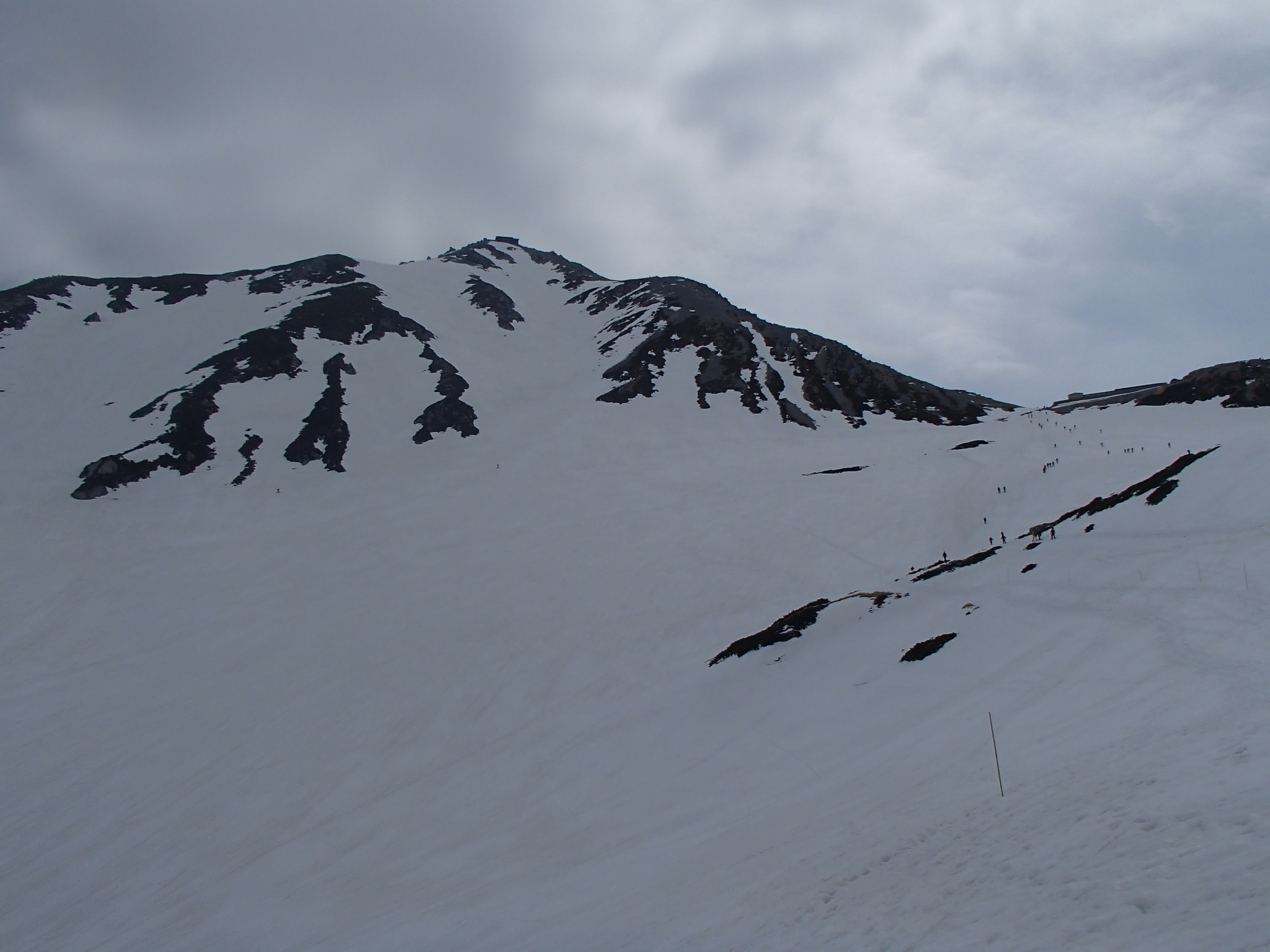P4250065.JPG