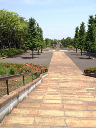 IMG_9076 (480x640).jpg