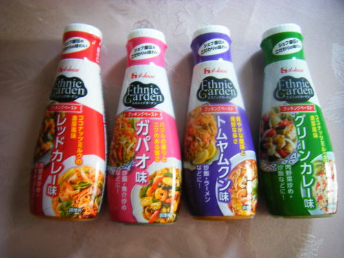 エスニック味 (2).JPG