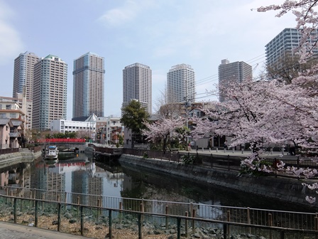 4月1日.JPG