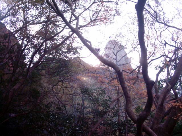 C:\fakepath\shodoshima012.jpg
