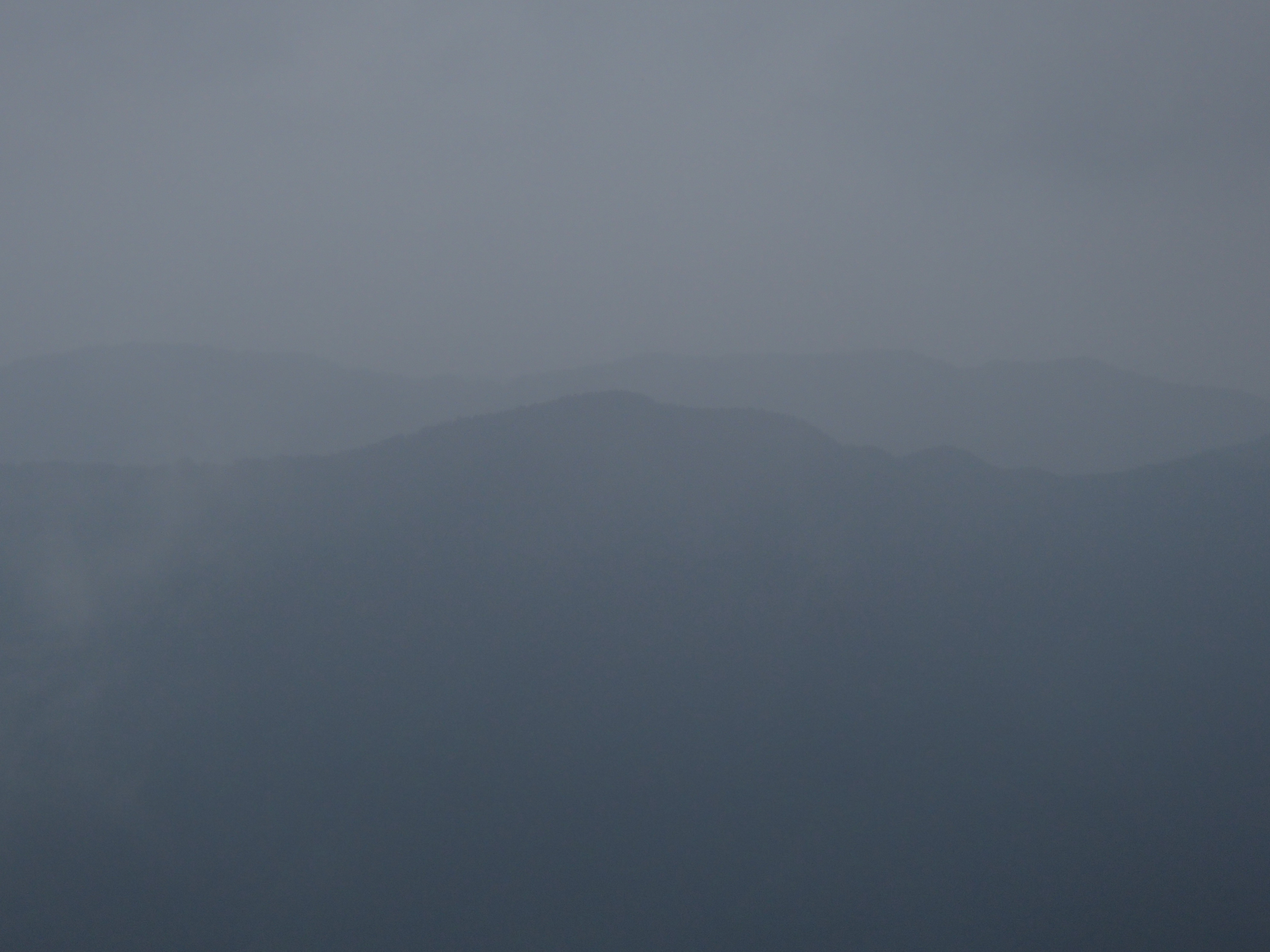 P6290140.JPG