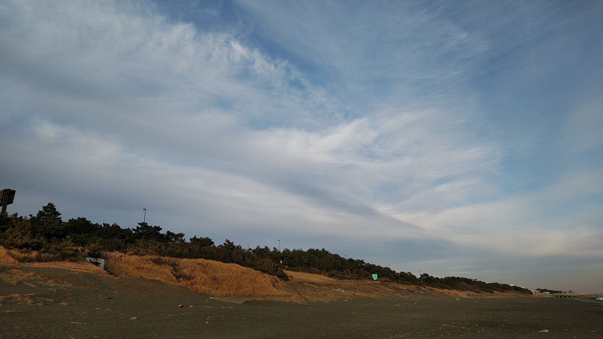 20220109  DSC_0005.jpg