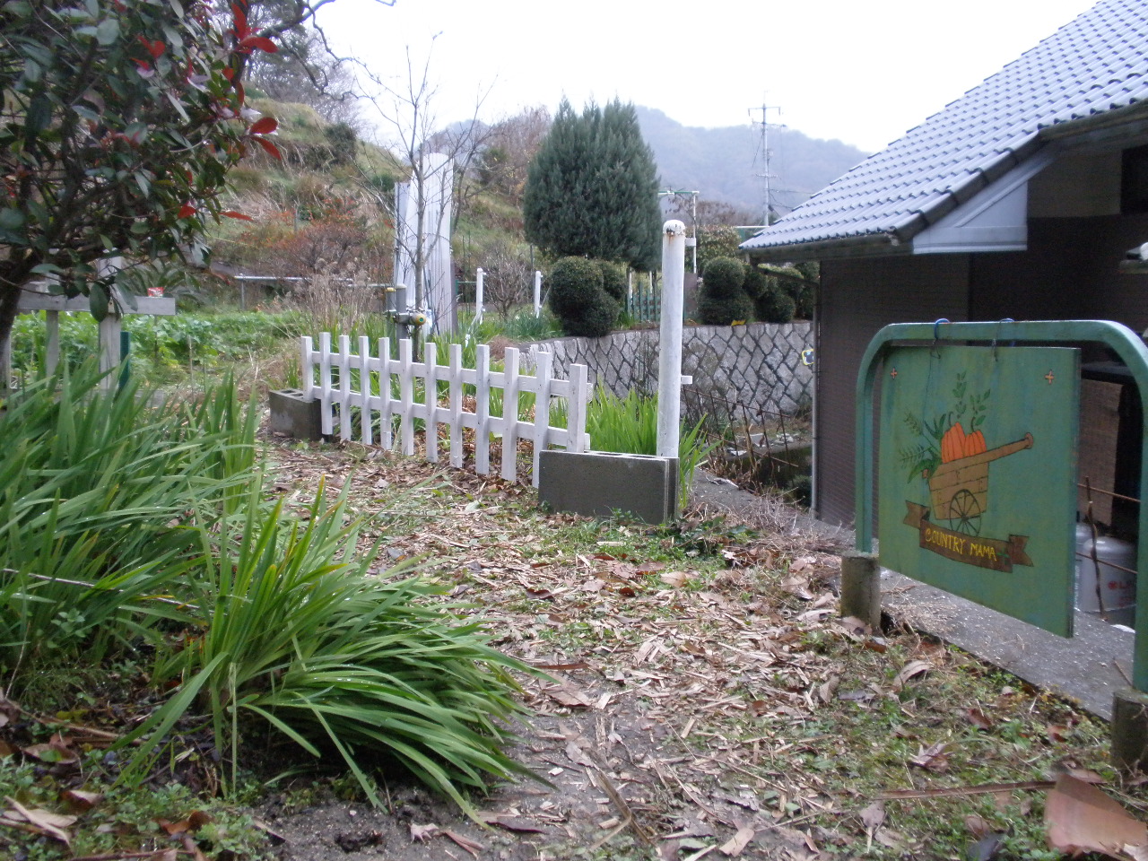P2032570.JPG