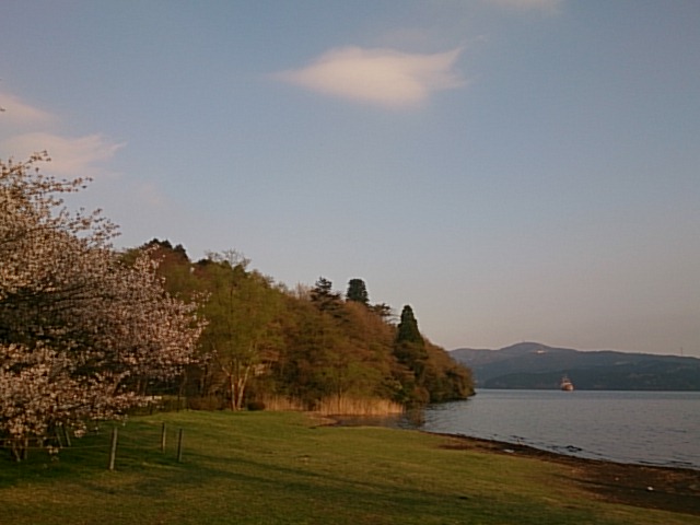 20150426  DSC_0003.jpg