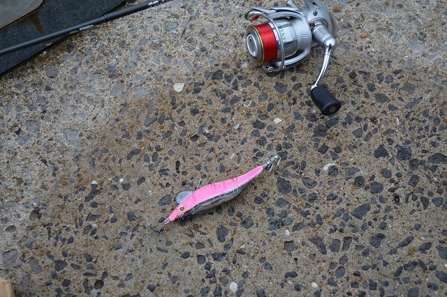 showPhoto (640×426)