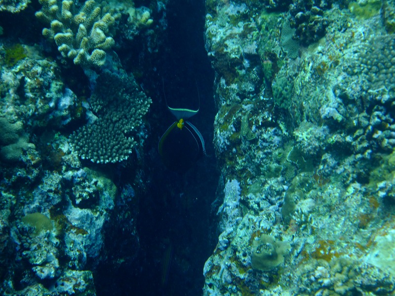 DSCF4095.jpg