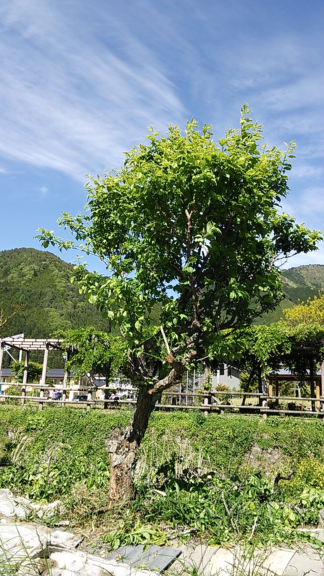 DSC_0054.JPG