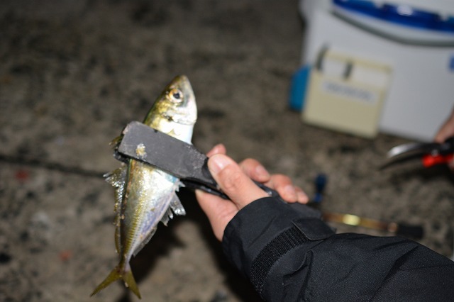 showPhoto (640×426)