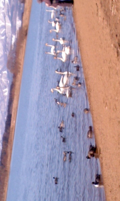 PA0_0522.JPG