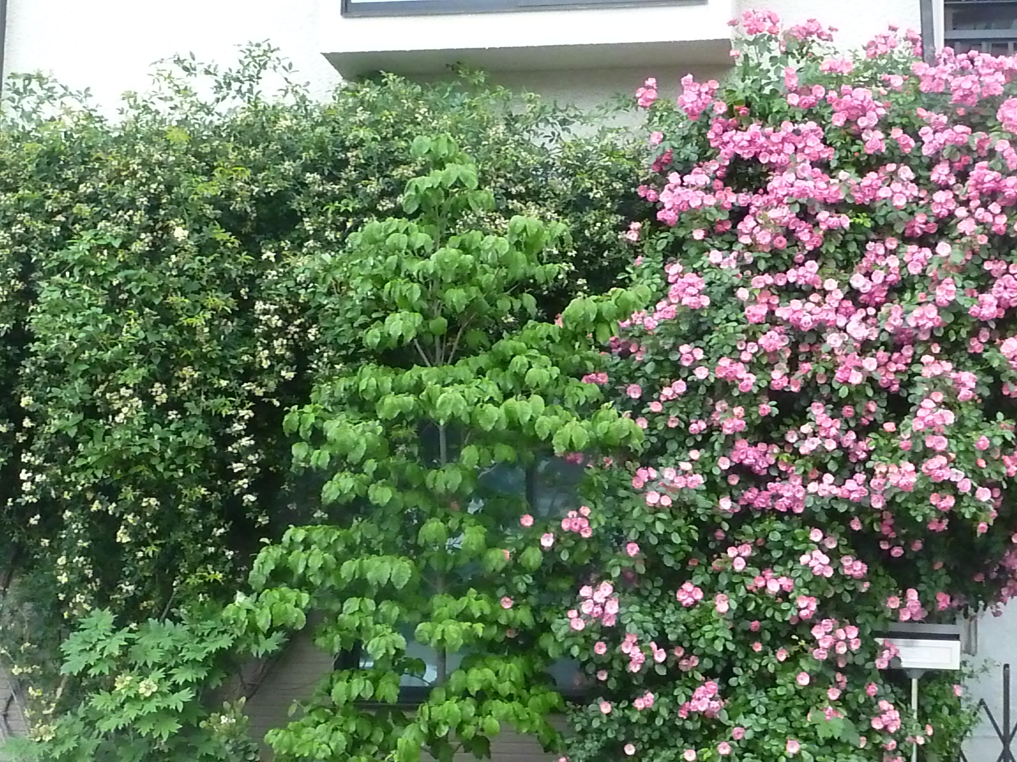 P1120939.JPG