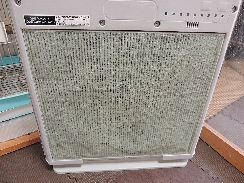 DSCN3583.JPG
