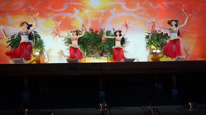 20160127 11413901.JPG