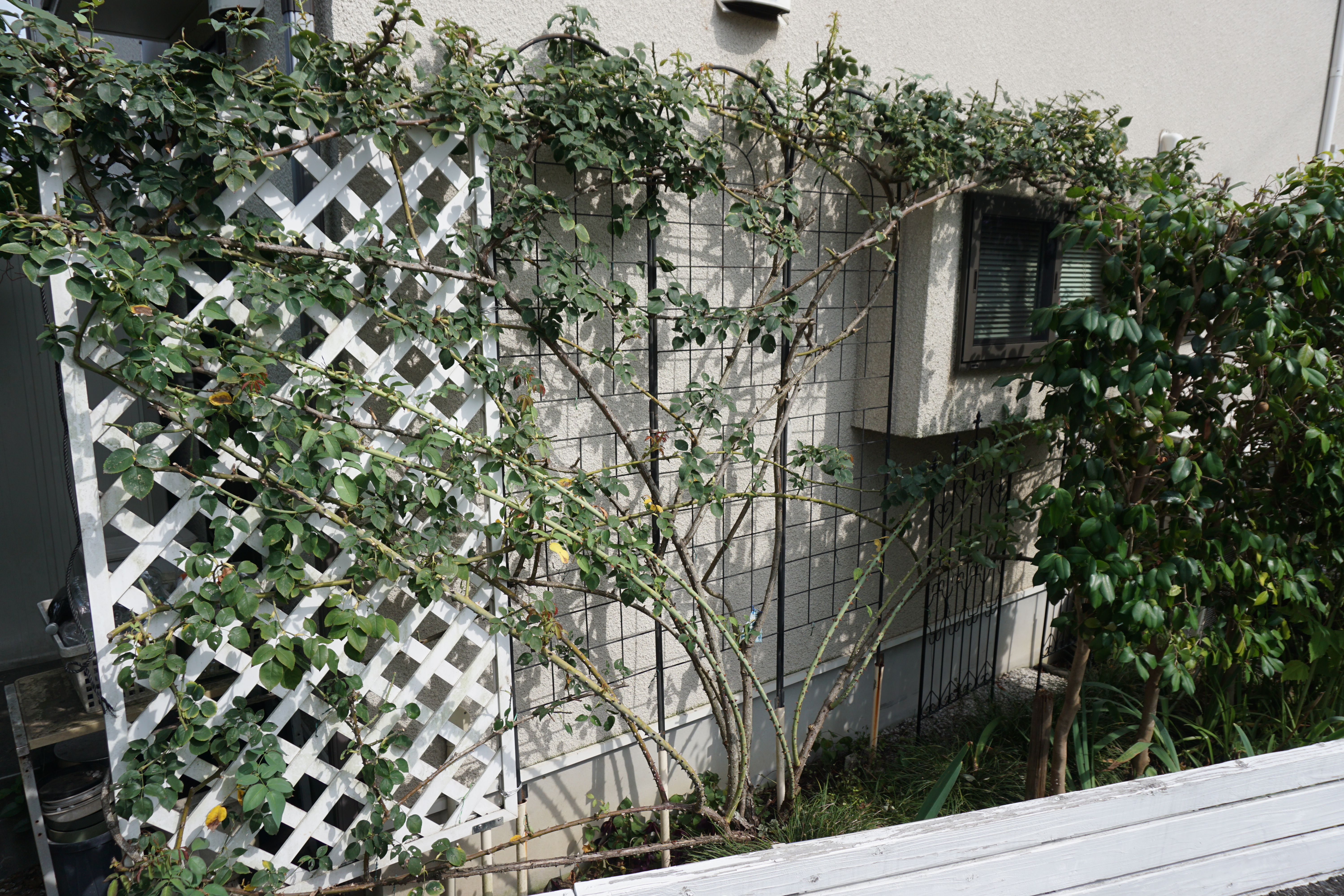 2023年9月1-1.JPG