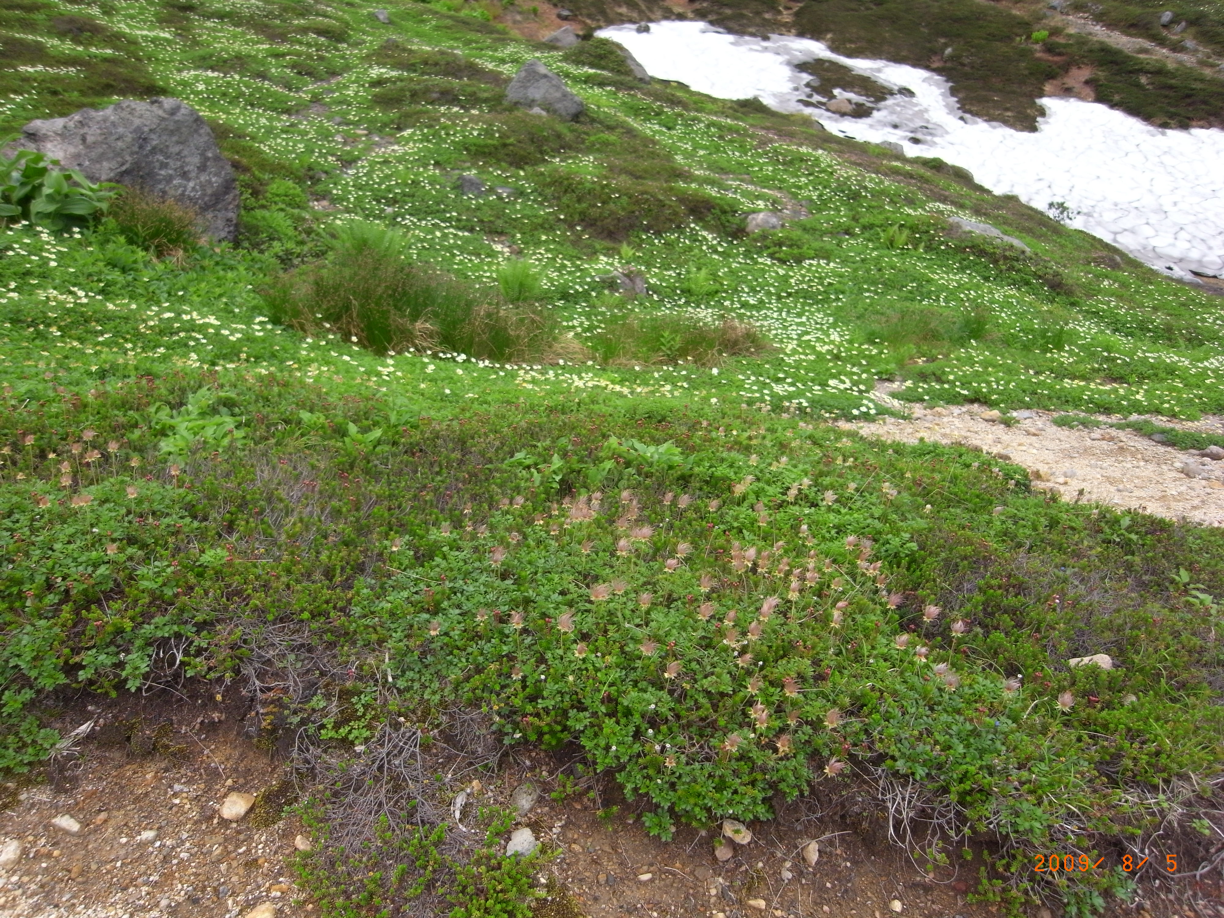 R0011755.JPG
