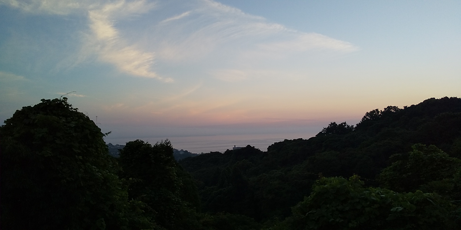 DSC_0458.JPG