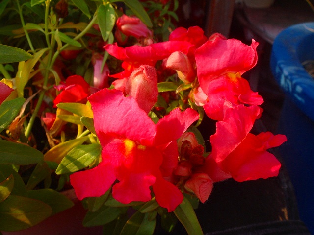 DSC01534.jpg