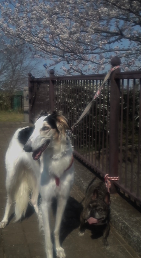 140401_1438~01.jpg