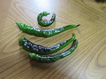 万願寺唐辛子.jpg